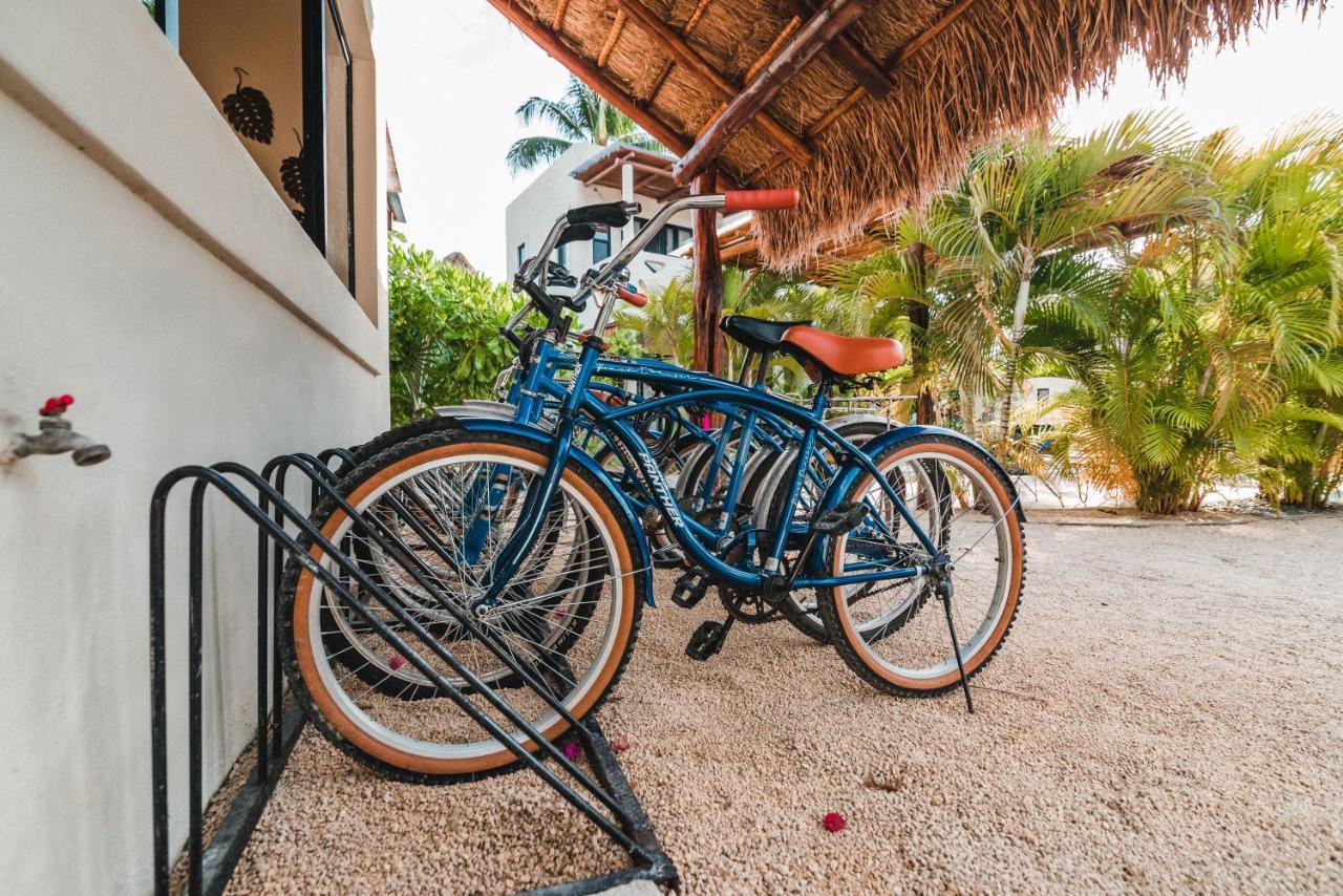 Hôtel Blue Palm Bacalar Extérieur photo